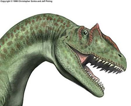 Le dinosaure Allosaurus (Allosaure).