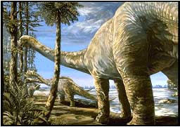apatosaurus.