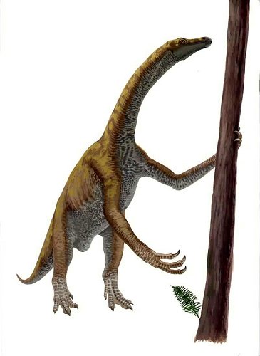 deinocheirus.