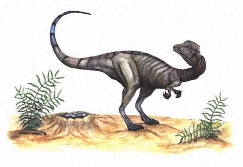 Le dinosaure Dilophosaurus (dilophosaure).