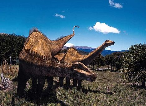 Diplodocus.