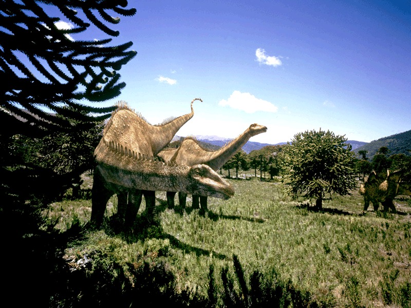 diplodocus.