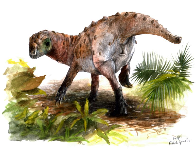ferganocephale.