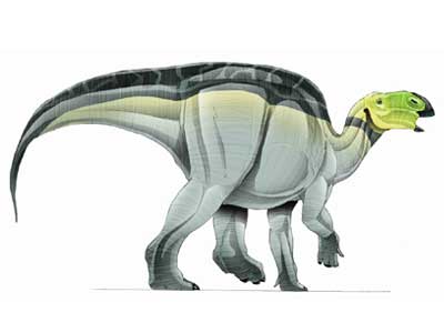 hadrosaurus.