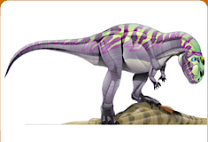 majungatholus.