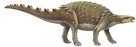 minmi.