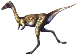 mononykus.