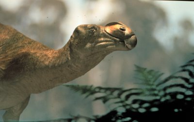 muttabrrasaurus.