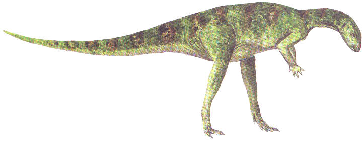 othnielia.