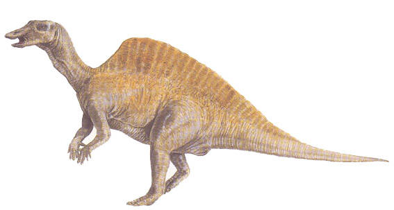 ouranosaurus.