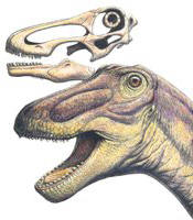 rapetosaurus.