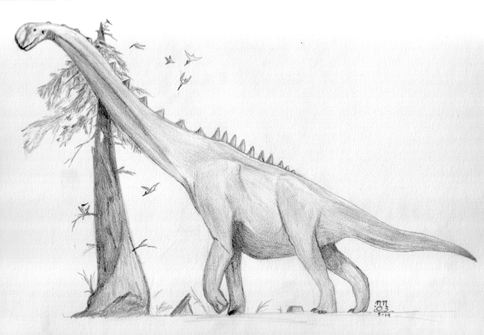 sauroposeidon.