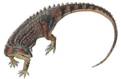 scutellosaurus.