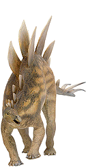 st�gosaurus.