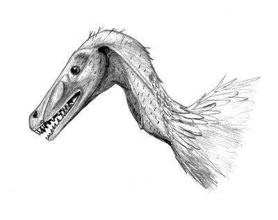 tsaagan.