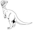 tylocephale.