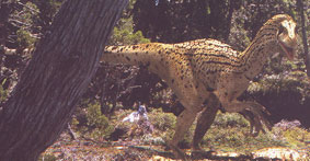 utahraptor.