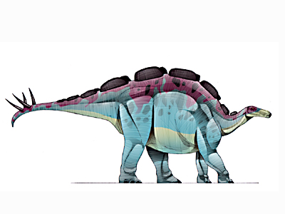wuerhosaurus.