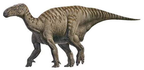 Iguanodon