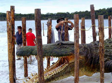 Prehistoric�Park