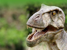 Prehistoric�Park
