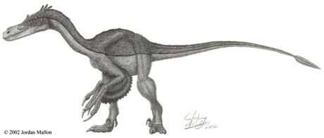 V�lociraptor