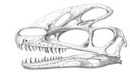 Guanlong wucaii