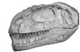 Mapusaurus