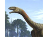 Plat�osaure