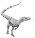 Sinosauropteryx