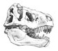 Tyrannosaure Tyrannosaure