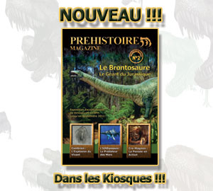Revue Pr&eacute;histoire et Dinosaures actuellement en kiosque !
