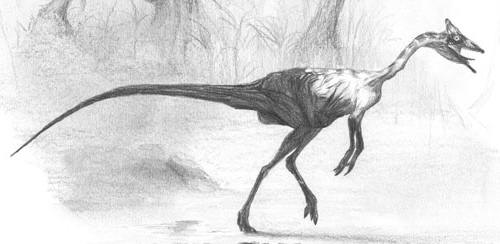 Pelecanimimus.