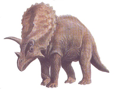 Pentaceratops.