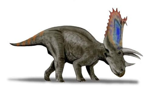 Le dinosaure Pentaceratops.
