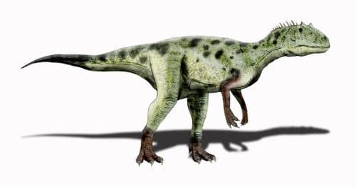 Le dinosaure Piatnitzkysaurus.