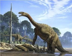 Le dinosaure Plateosaurus.