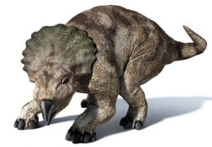Le dinosaure Protoceratops.