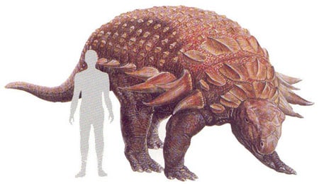 Panoplosaurus.