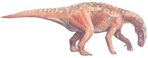 Probactrosaurus.