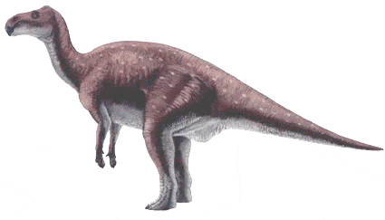 Probactrosaurus.