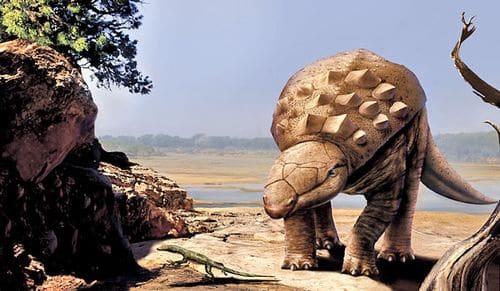 Panoplosaurus.
