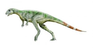 Le dinosaure Pisanosaurus.