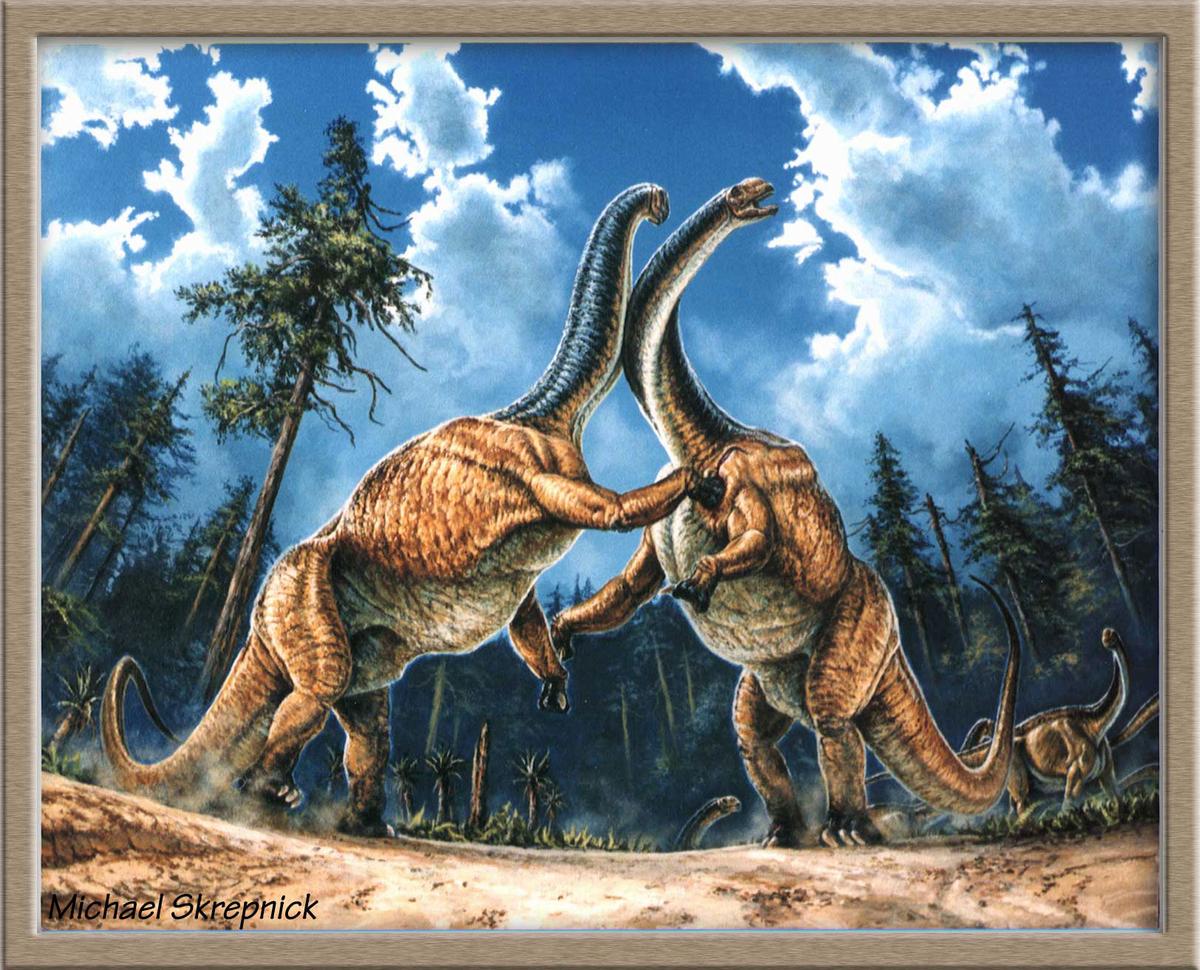 Le dinosaure Jobaria du Sahara nigérien.