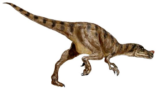 Proceratosaurus.