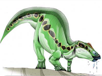 Prosaurolophus.