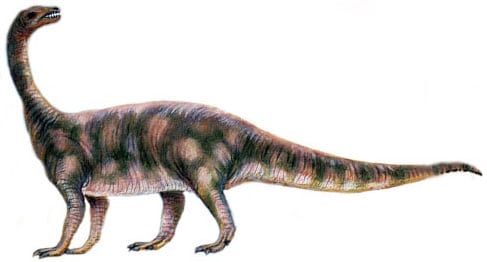 Riojasaurus.