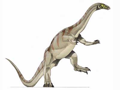 Le dinosaure Riojasaurus.