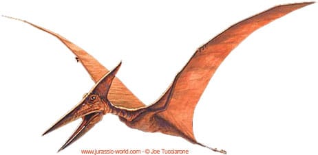 Pteranodon n'était pas un dinosaure : c'était un reptile volant.