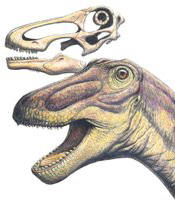 Rapetosaurus.